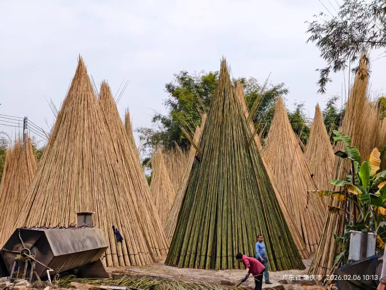 BBQ Bamboo Stick Flower Sticks