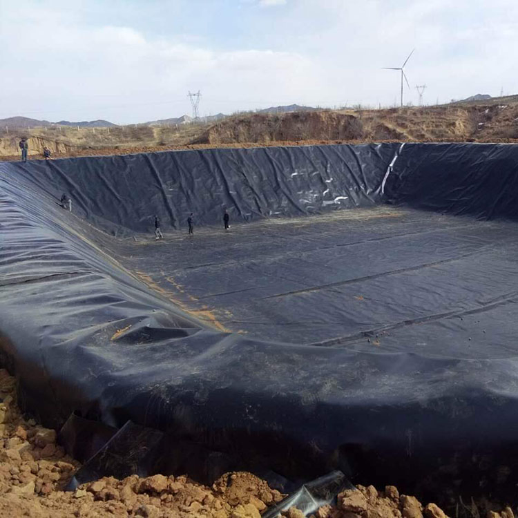 Building Material HDPE Smooth Blue Film Geomembrane for Fish Pond.