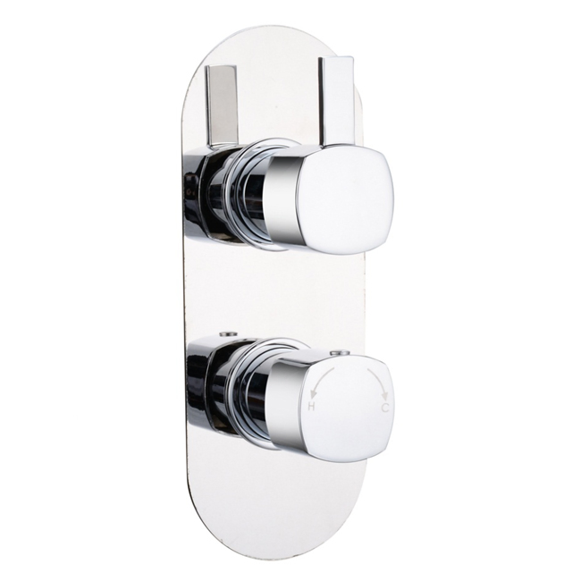 The Contracted Simple Design of Brass Polished Mounted Thermostatic Shower
