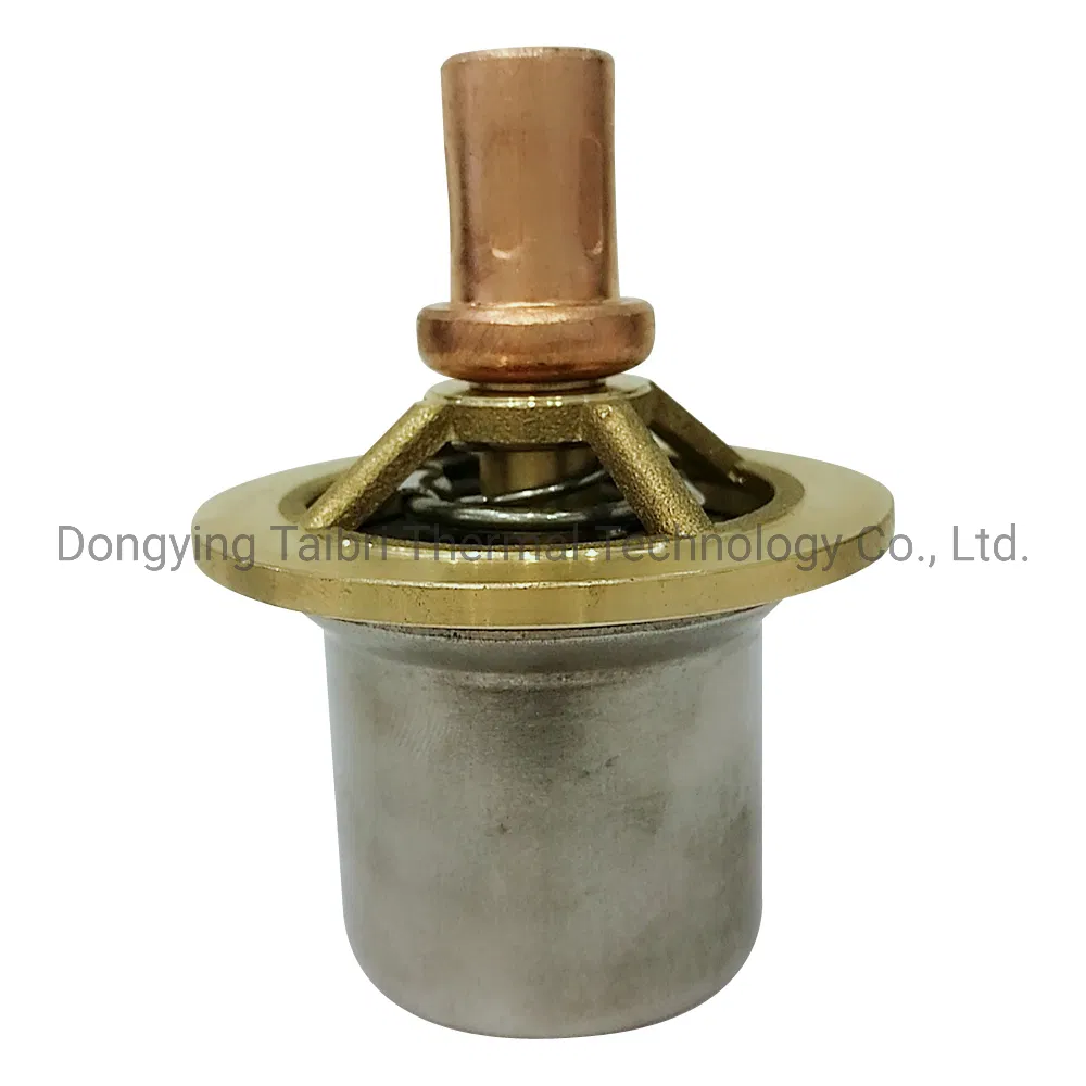Freeze Protection Valve Frost Protection Valve T2501
