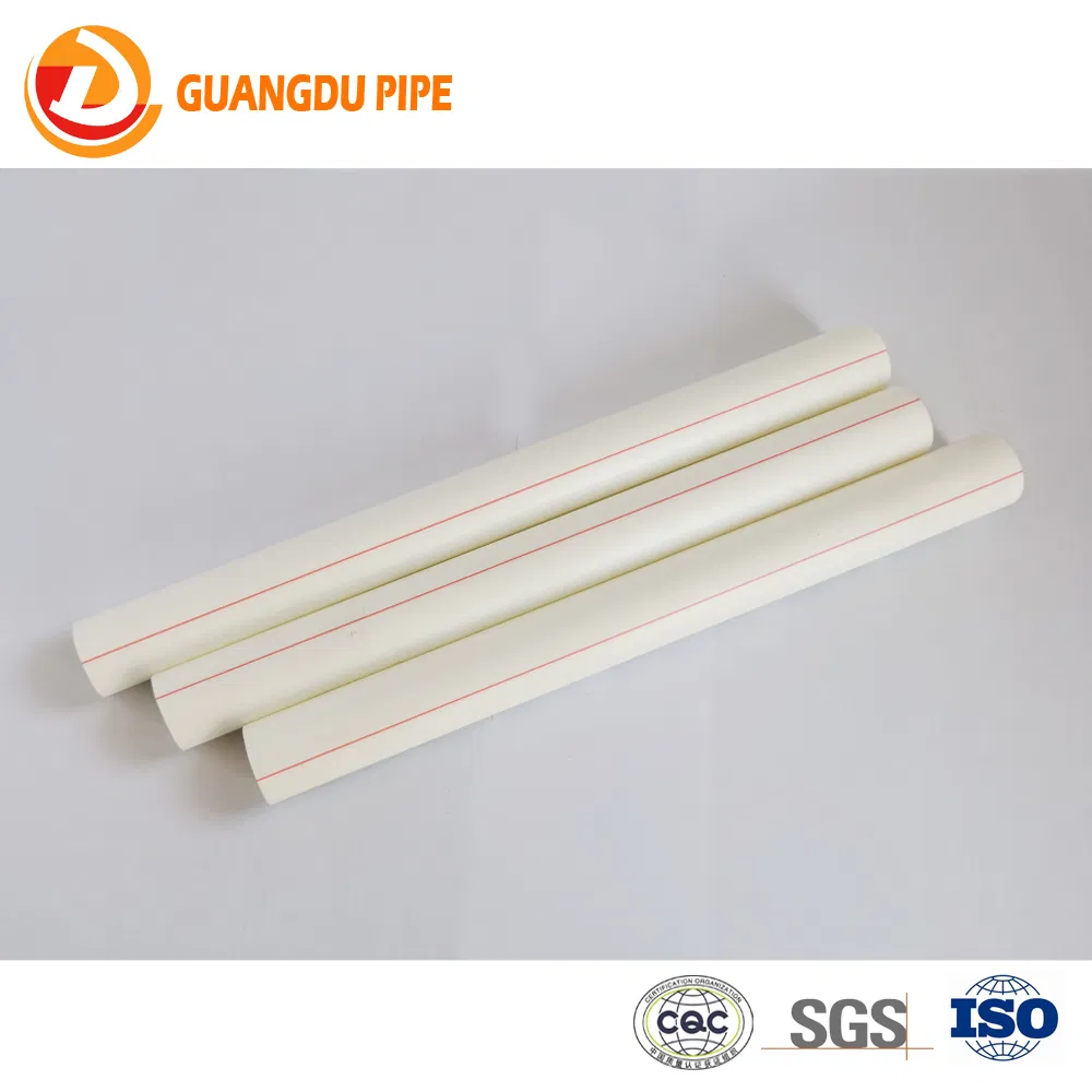 Wholesale Low MOQ PPR Pipe Good Price and Economy Quality Water Pipe Plumbing PPR Pipe