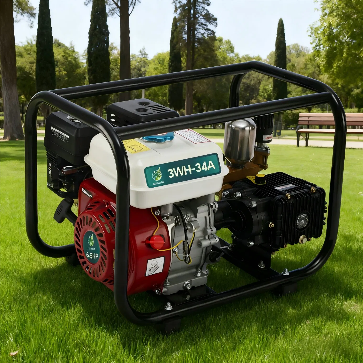 Heavy-Duty Frame Type 168f 6.5HP Gasoline Power Sprayer with High-Efficiency Pump