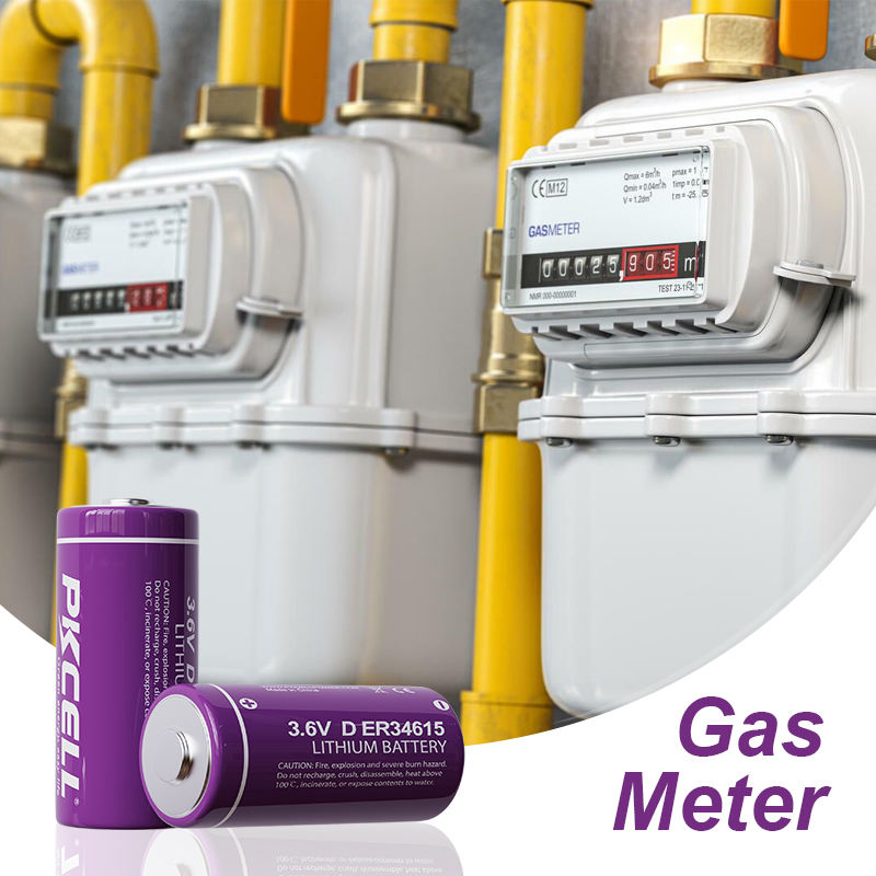 Battery D Er34615 1s1p Gas Meter Battery Er34615 3.6V 19ah Cell