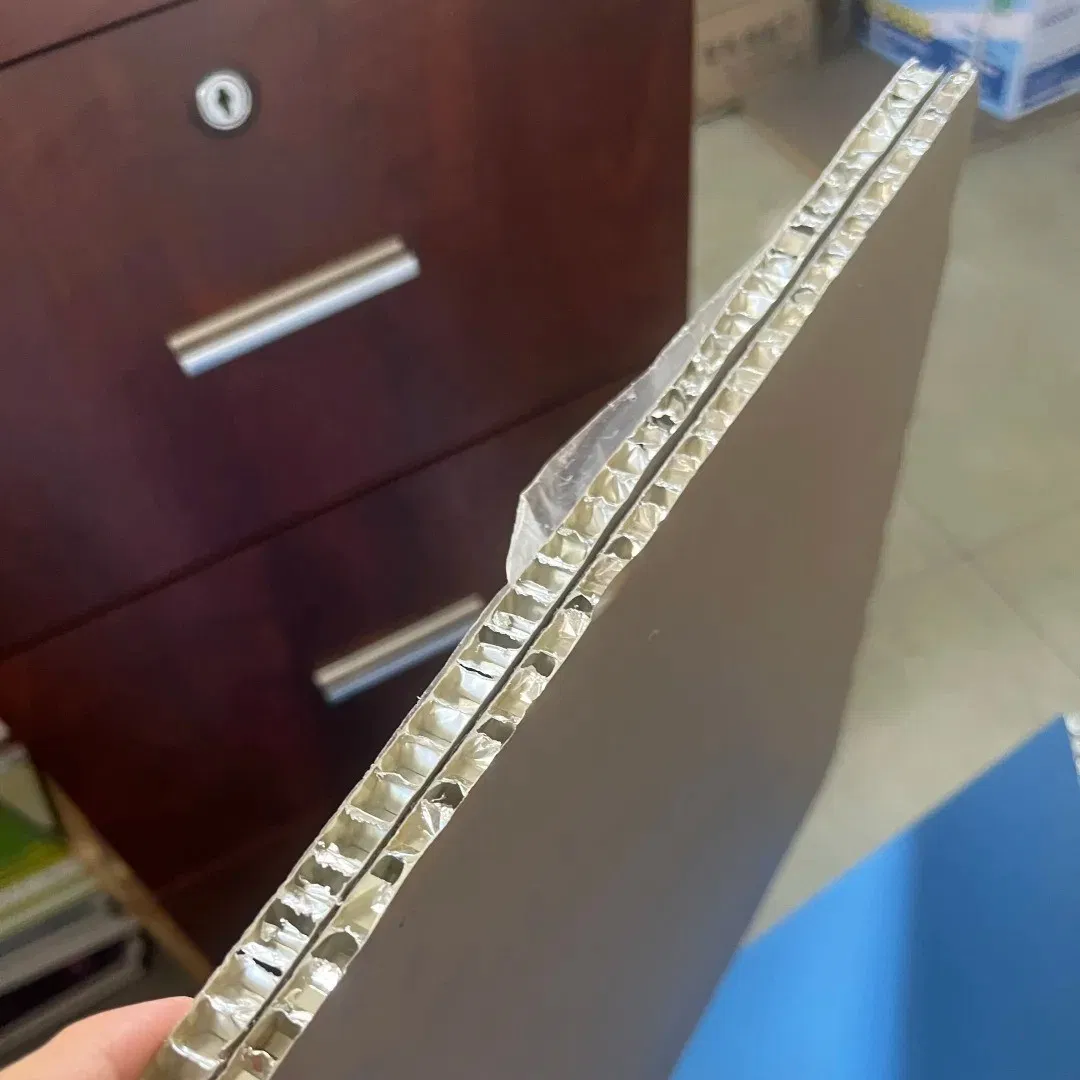 Elegant PVD Colored Aluminum Honeycomb Panels for Contemporary Wall Cladding