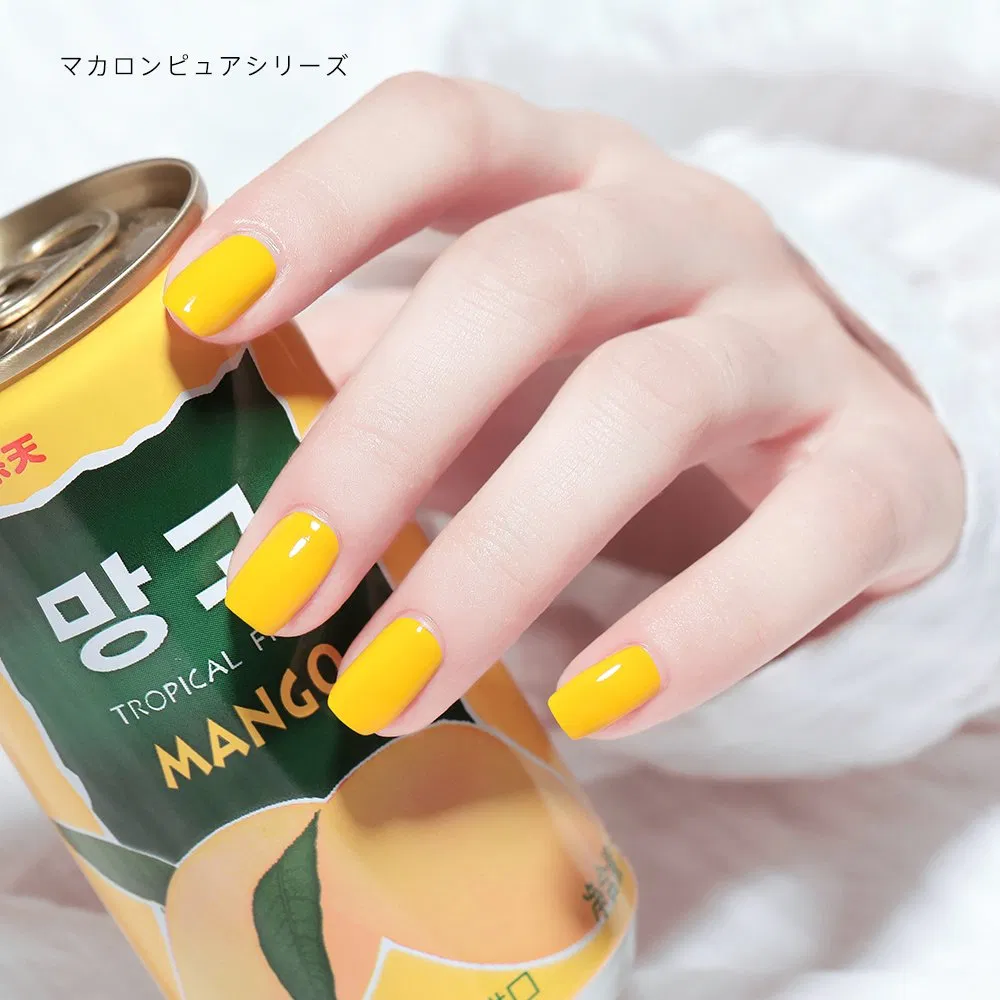 Japanese Style Nail Set 24 Bottles Ice Candy Color Solid Nail Polish and Cream Glue Polish