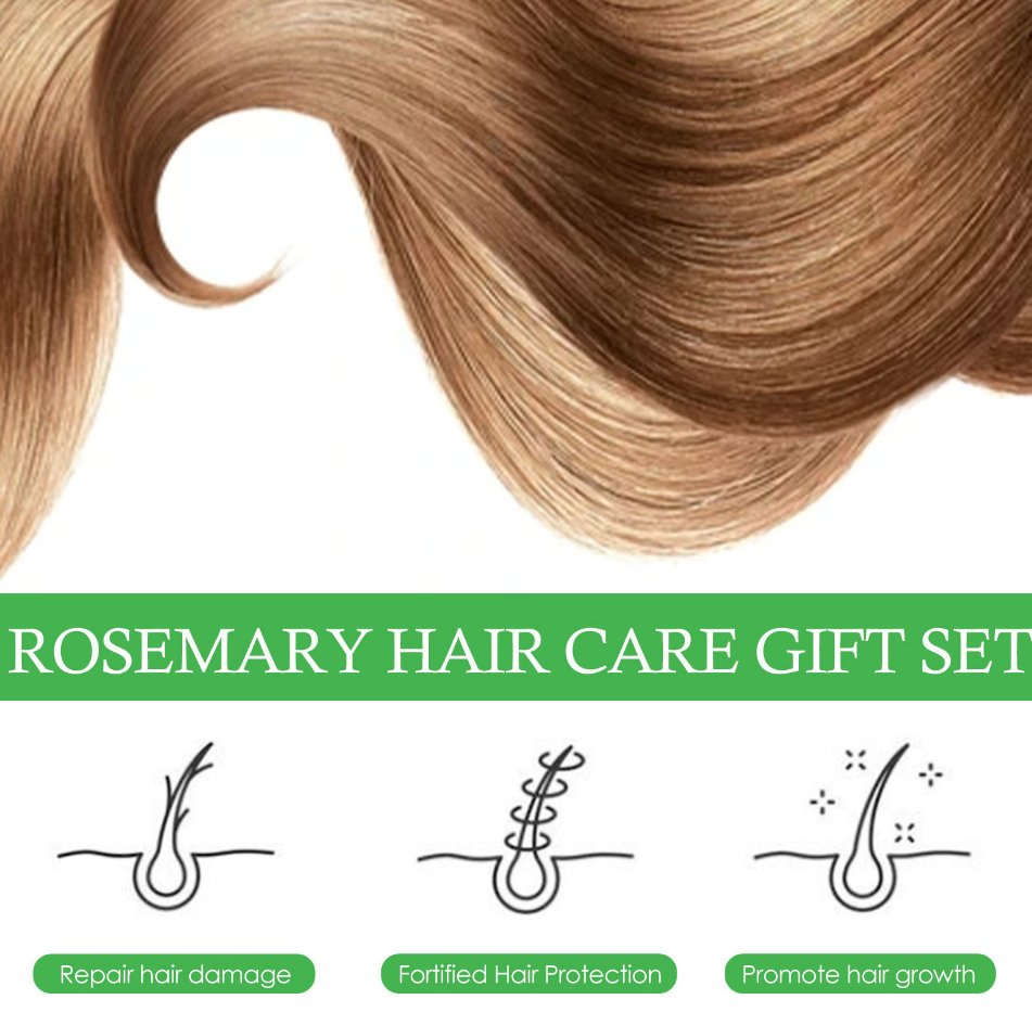 Online Wholesale and Retail Hair Growth Essential Oil Kit Rosemary Mint Hair Strengthening Oil Nourishing Treatment for Split End and Dry Organics Hair Mask