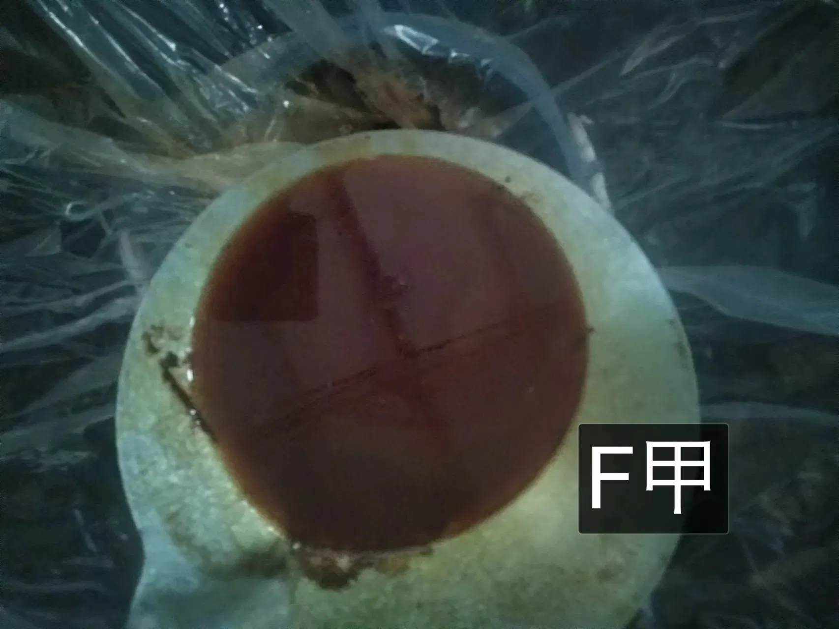 High Quality Protein Foaming Agent for Lightweight Concrete Foaming Agent