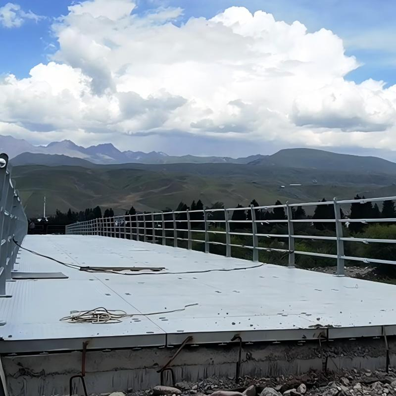Durable Modular Steel Bridges for Efficient Transportation Solutions