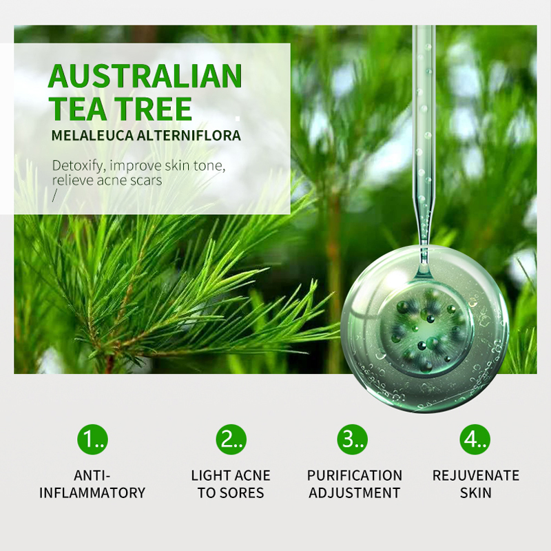 Private Label Tea Tree Face Care Set Skin Care Whitening Anti Acne Treatment Skin Beauty Skin Care Set