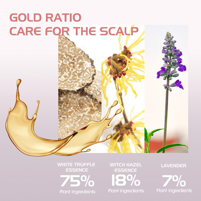 In Stock Hair Salon Care Products Color Protection & Moisturizing Hair Shampoo