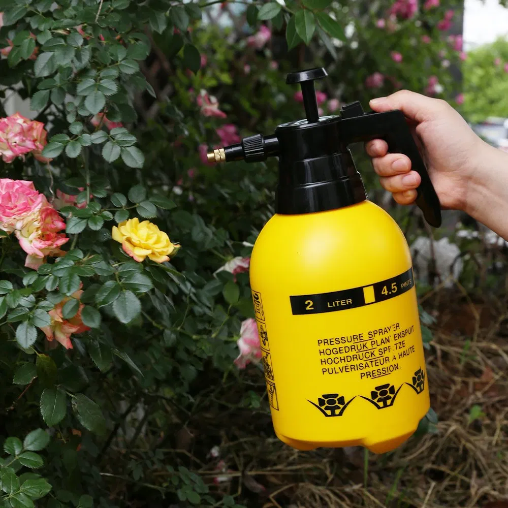 Rainmaker Customized 2 Liter Garden Plastic Mini Manual Pneumatic Sprayer