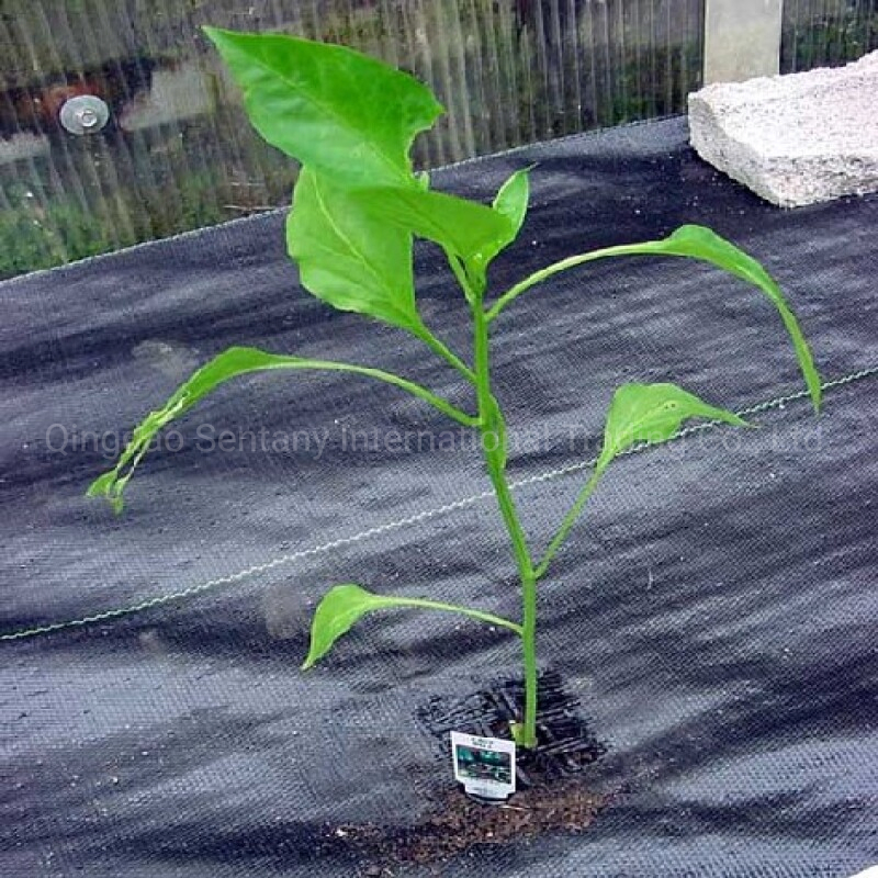 Black Straw Proof Cloth Grass Proof Cloth