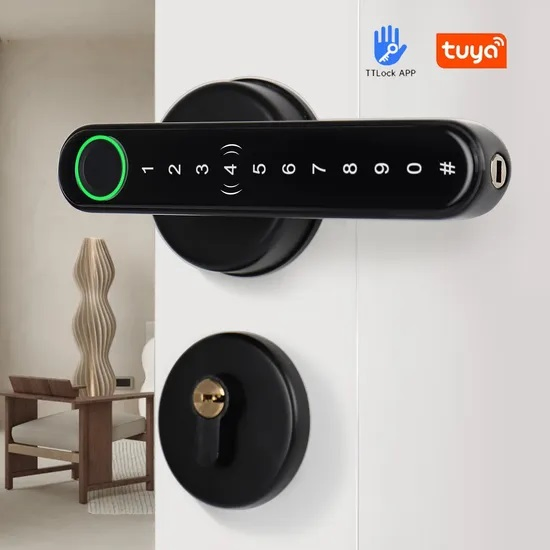 Fingerprint/Password/Key/Card for Home/Hotel/Apartment Smart Lock Fingerprint Door Lock