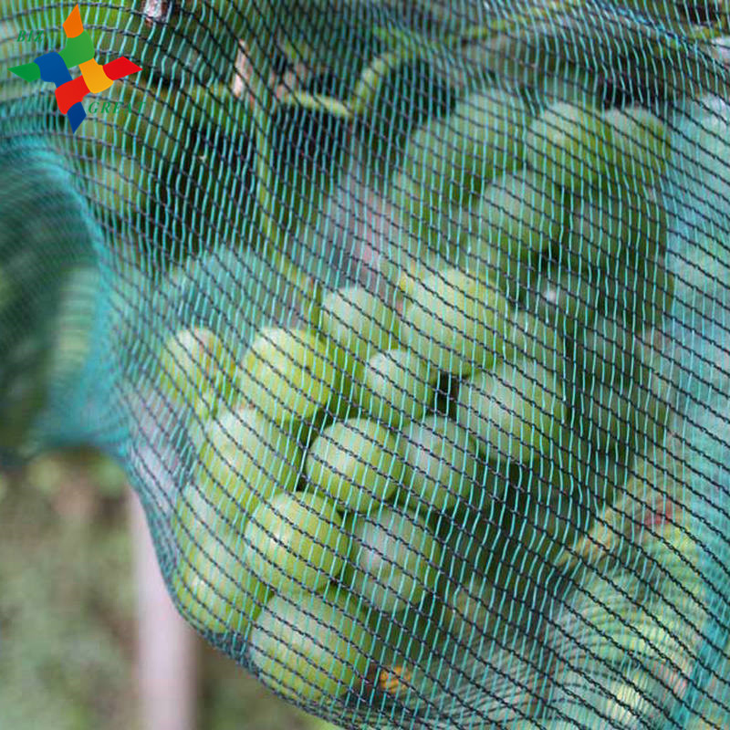 Plant Protection Plastic Anti Bird/Hail/Insect Net Anti Insect Net for Crop