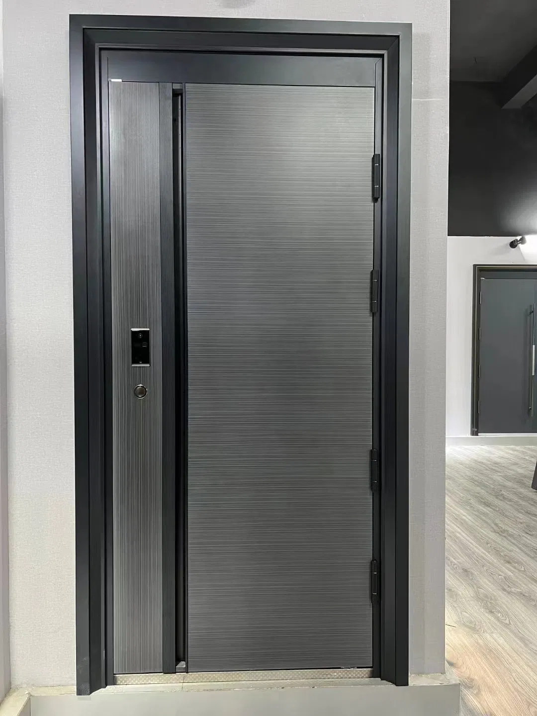 Best Price Europe Security Steel Entry Door with Aluminium Strip Main Entrance Door