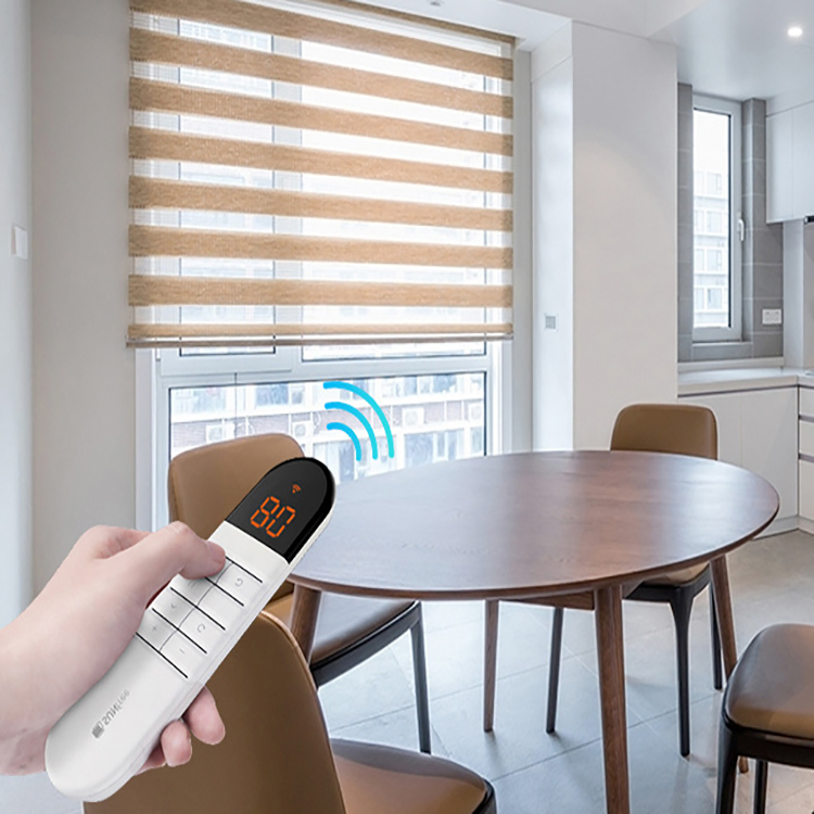 Day and Night WiFi Motorized Zebra Blinds for Window