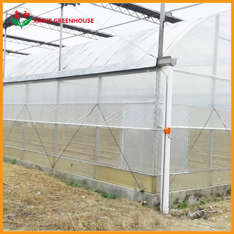 Po Film Customized Agriculture Multi Span Garden Agro Warm Greenhouses