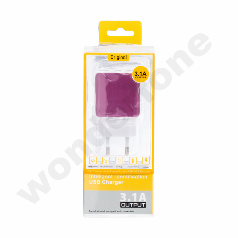 Business Style 2 USB Metal Charger