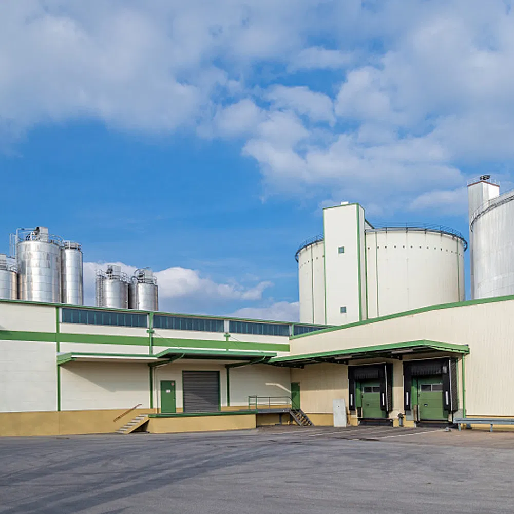 Prefabricated Steel Structure Livestock Farm Building