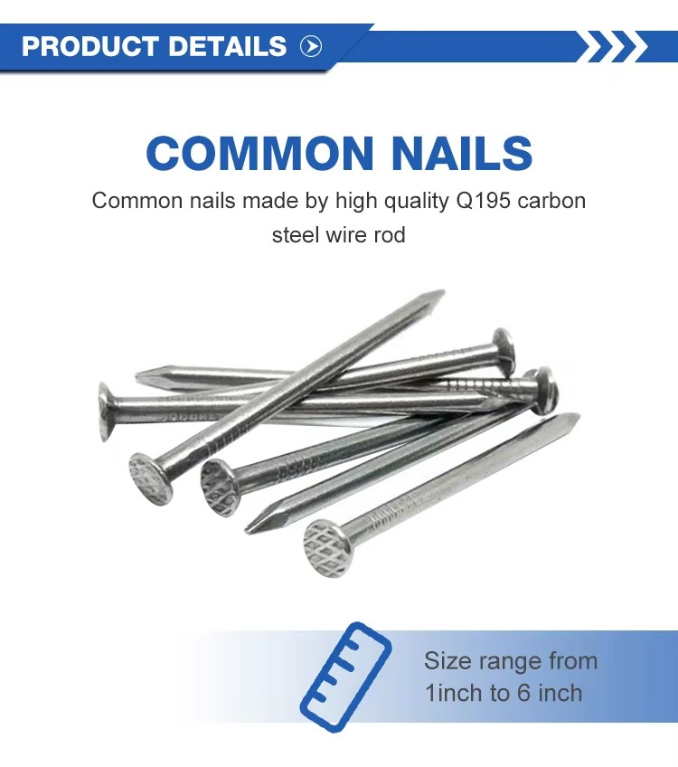 Q195 Material Common Nail for Making Furniture Accept Customized High Quality
