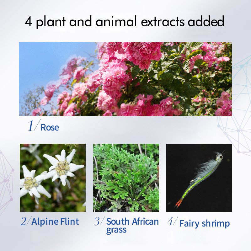 OEM/ODM Anti-Aging Eye Cream Reduces Wrinkles Puffiness & Dark Circles Enhances Skin Elasticity & Brightens Eyes