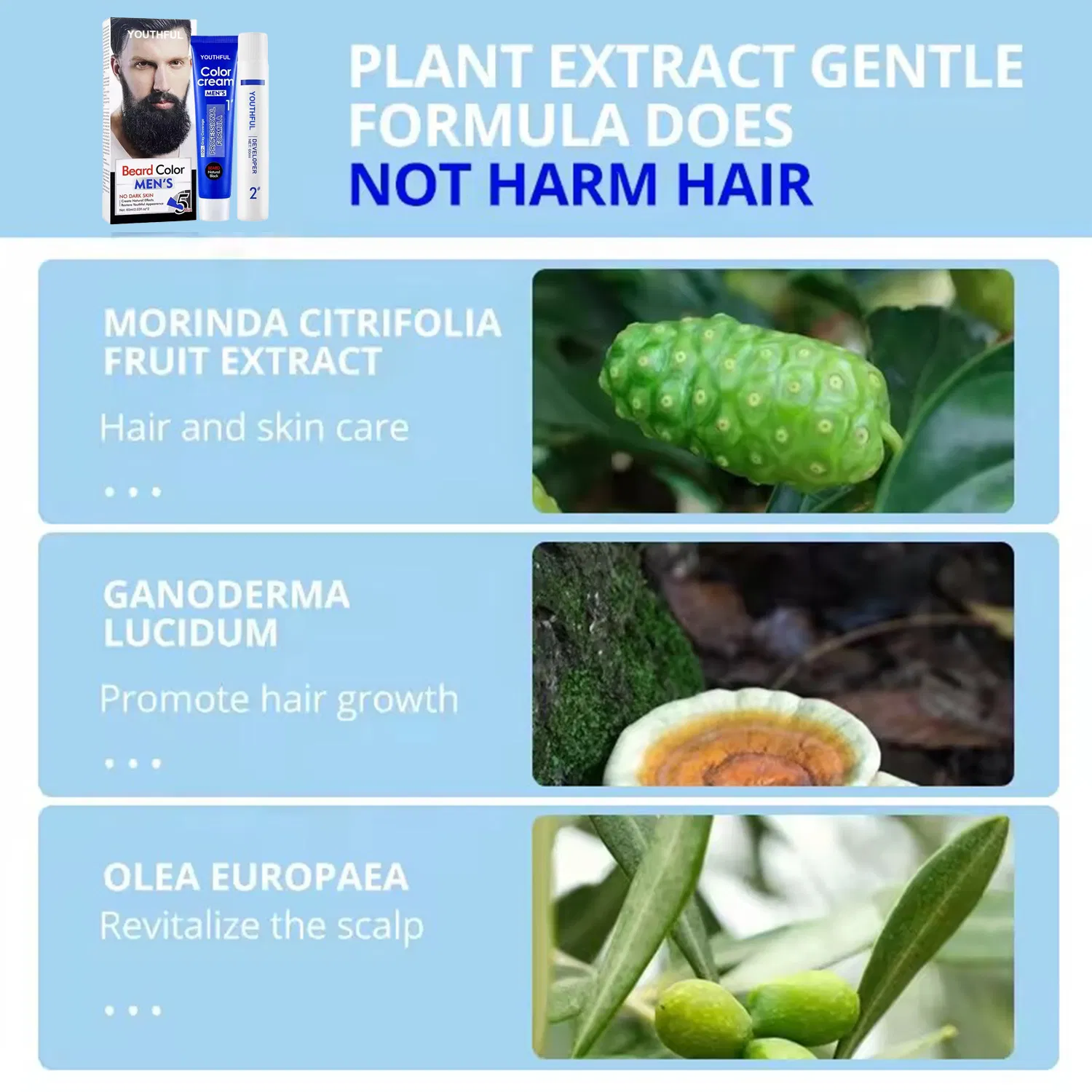 Natural Men Cover Gray Hair Beard Color Cream Black Developer