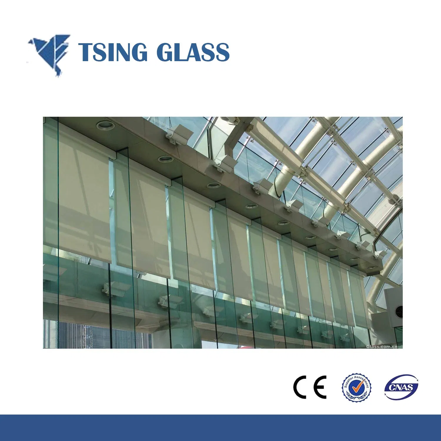 Clear, Bronze, Grey, Blue, Green Tinted Float Glass for Building/Window/Door