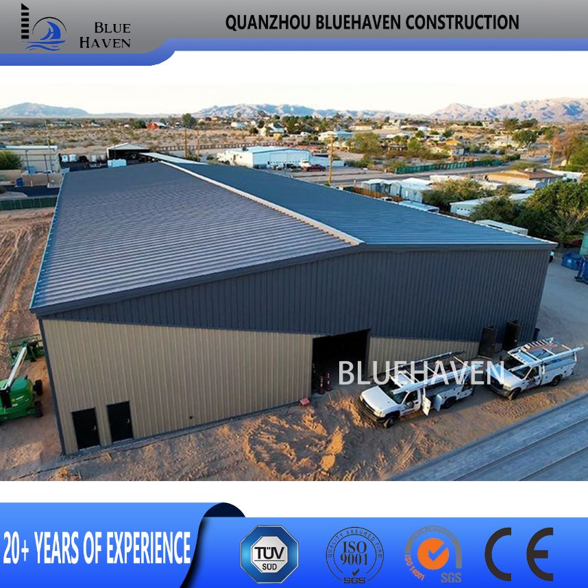 Quick Build H Beam Structural Warehouse/Barns/Farm/Steel Structure Factory Warehouse
