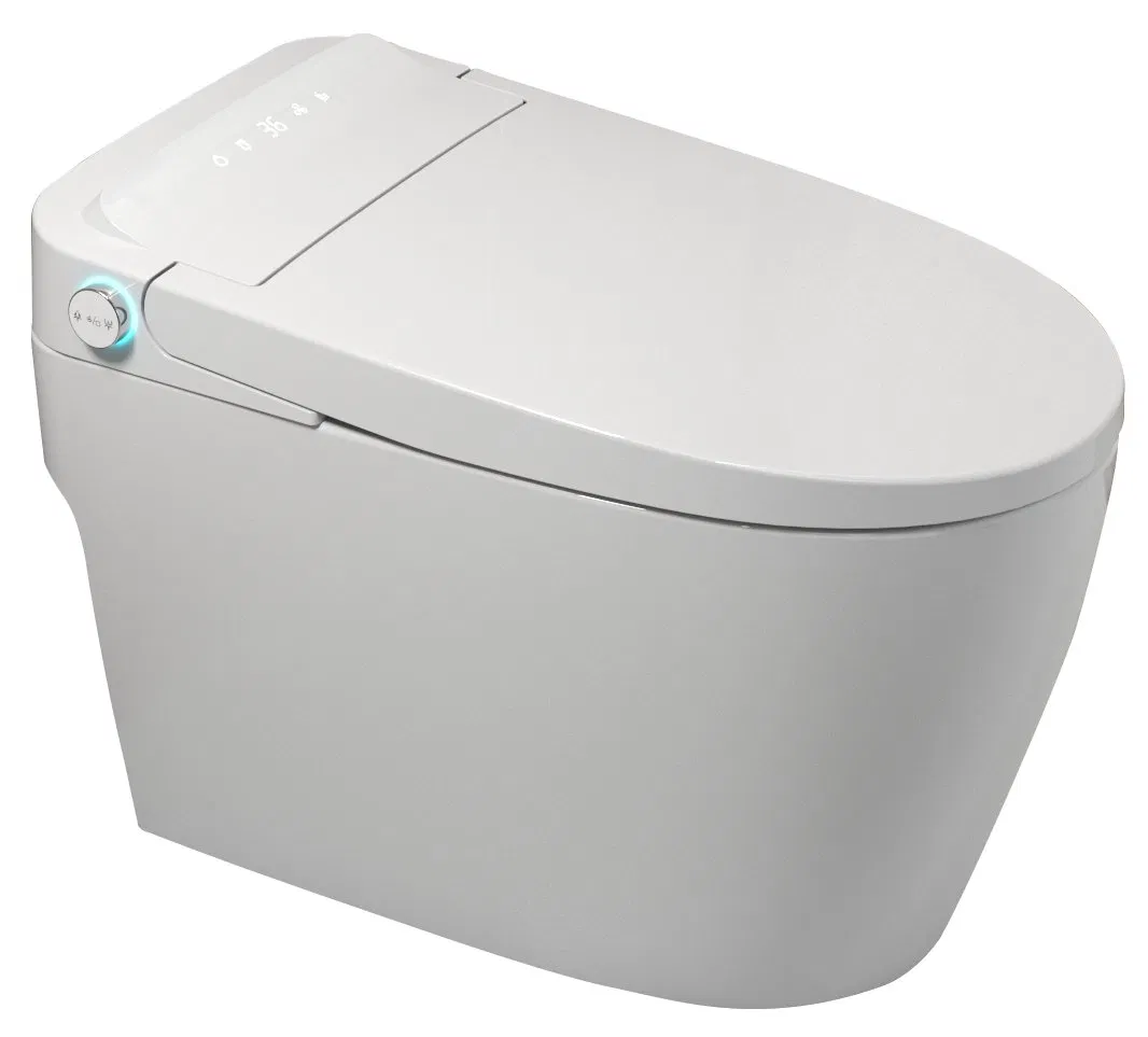 Very Fashionable Smart Toilet Ceramic Remote Control Intelligent Toilet Seat