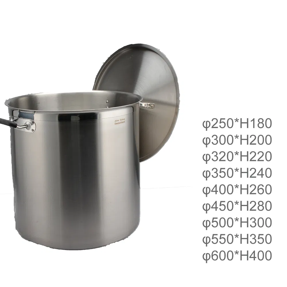 Heavy Duty Stainless Steel Casserole Pot