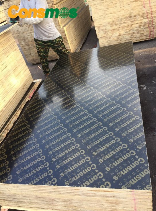 Linyi Consmos Factory Price 18mm Birch Core Black/Brown Concrete Formwork Marine Film Faced Plywood