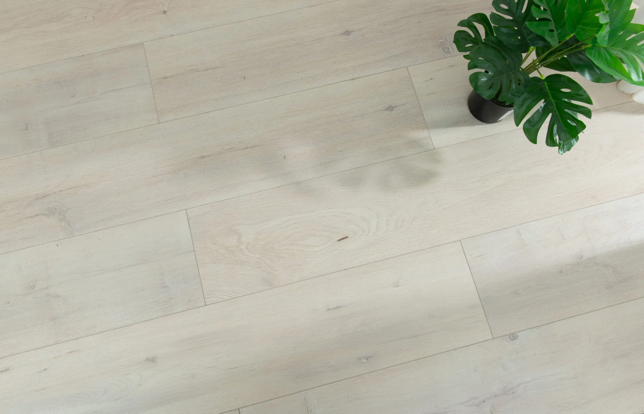 in Stock Hot Selling North American 12mm Random E. I. R. Wood Grain Laminate Flooring