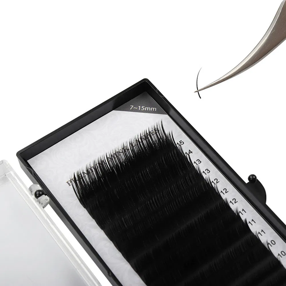 Professional Best Lash Eyelash Extensions Supplies Wholesale Volume Eye Lashes Eyelashes for Extension