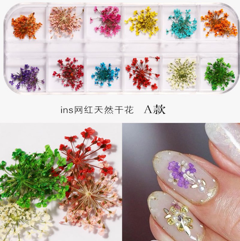 Nail Dried Flowers 12 Color Star Sun Flower Small Daisy Dry Flowers Decoration