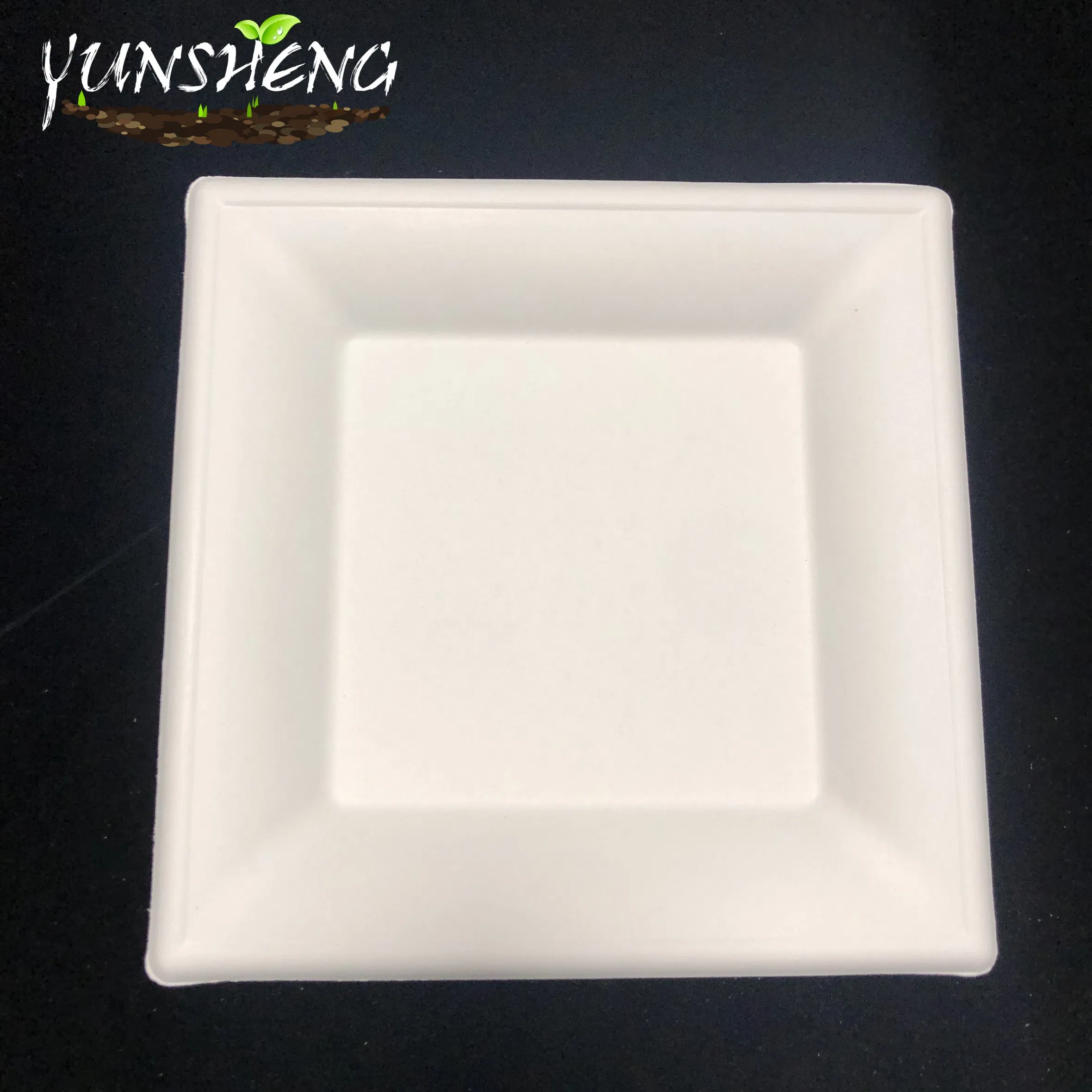 Disposable Manufactural Bagasse Pulp or Bamboo Fiber Paper Customized Square Plate for Delicious Cooking