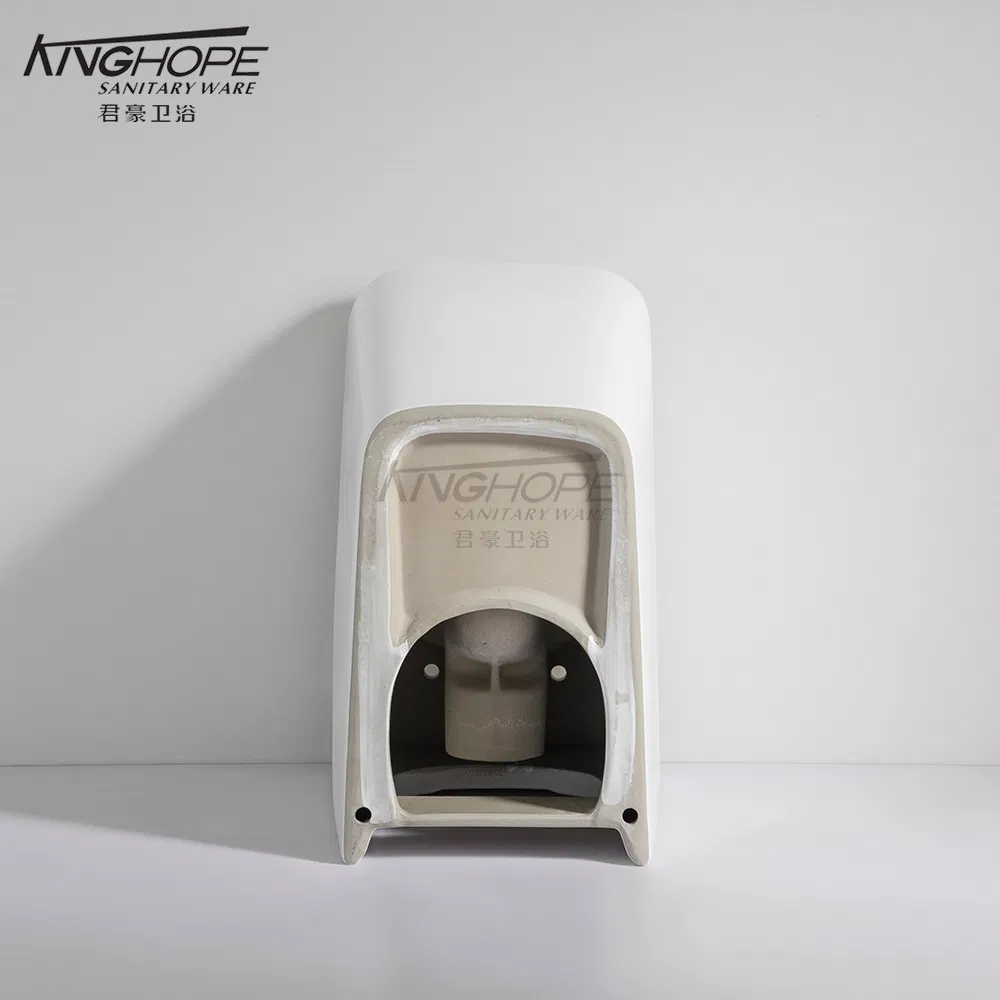 Eco-Friendly Factory Direct Sale Powerful Cleaning Bathroom Furniture Floor-Standing Toilet Sanitary Ware