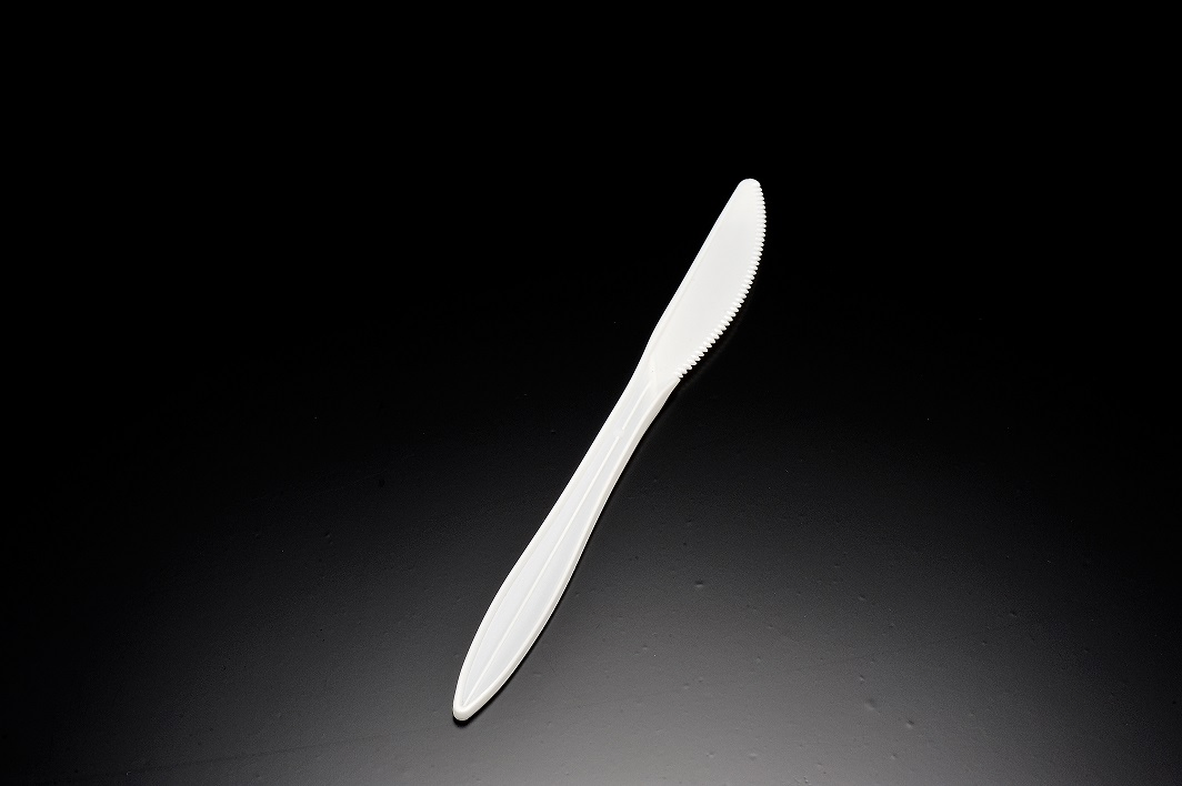 Medium Weight Plastic White / Black Soup Spoon (PP)