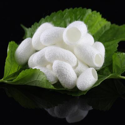 Hot Sale Hydrolyzed Silk Amino Acid Protein Cosmetic Raw Material White Powder