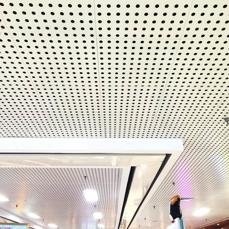 Exterior Construction Stainless Steel Perforated Metal Mesh Facade Cladding