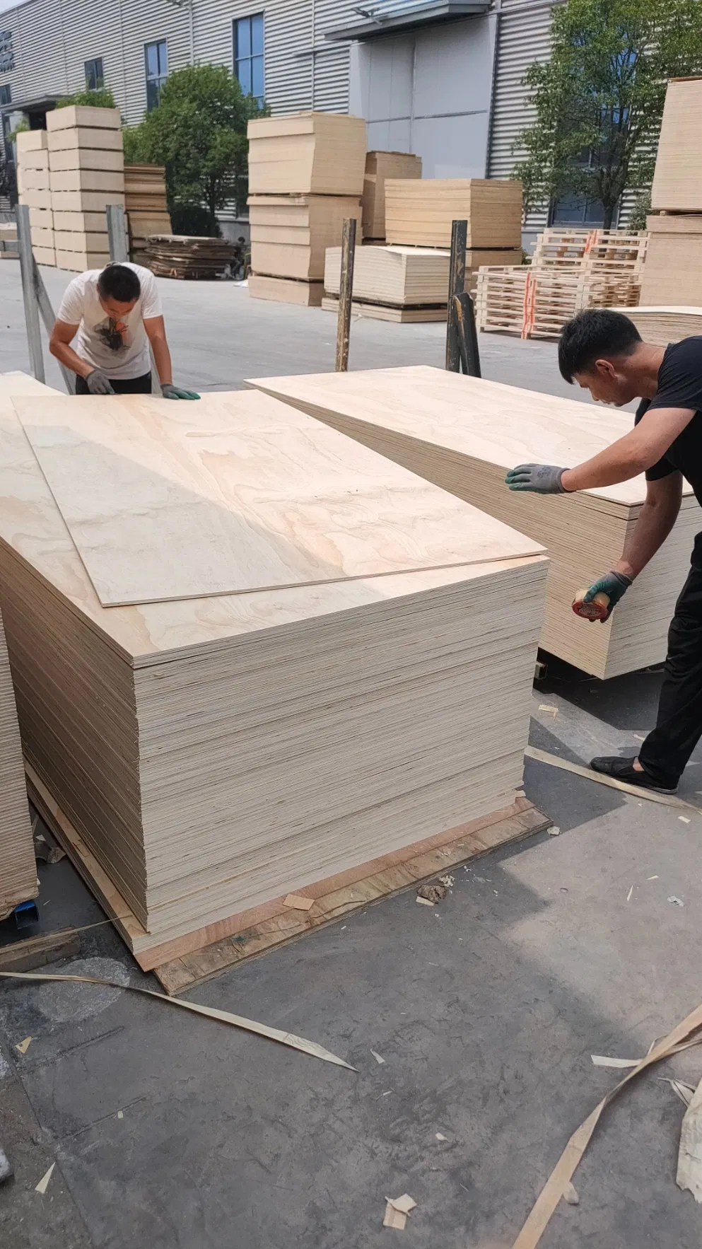 Wholesale BB/CC Grade Veneer Birch Plywood 15mm 18mm