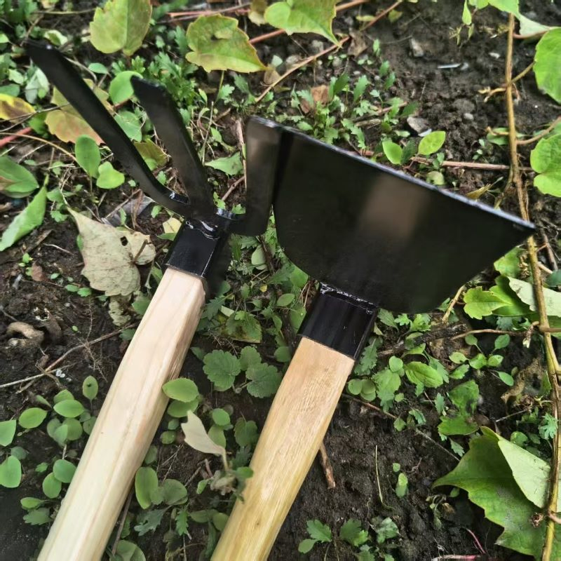 Factory Hot Sale Multi-Functional Carbon Steel Hoe-Fork for Agricultural