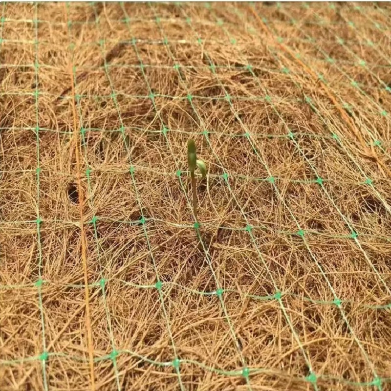 Tr Coconut Fiber Erosion Control Blanket for Sustainable Soil Stabilization