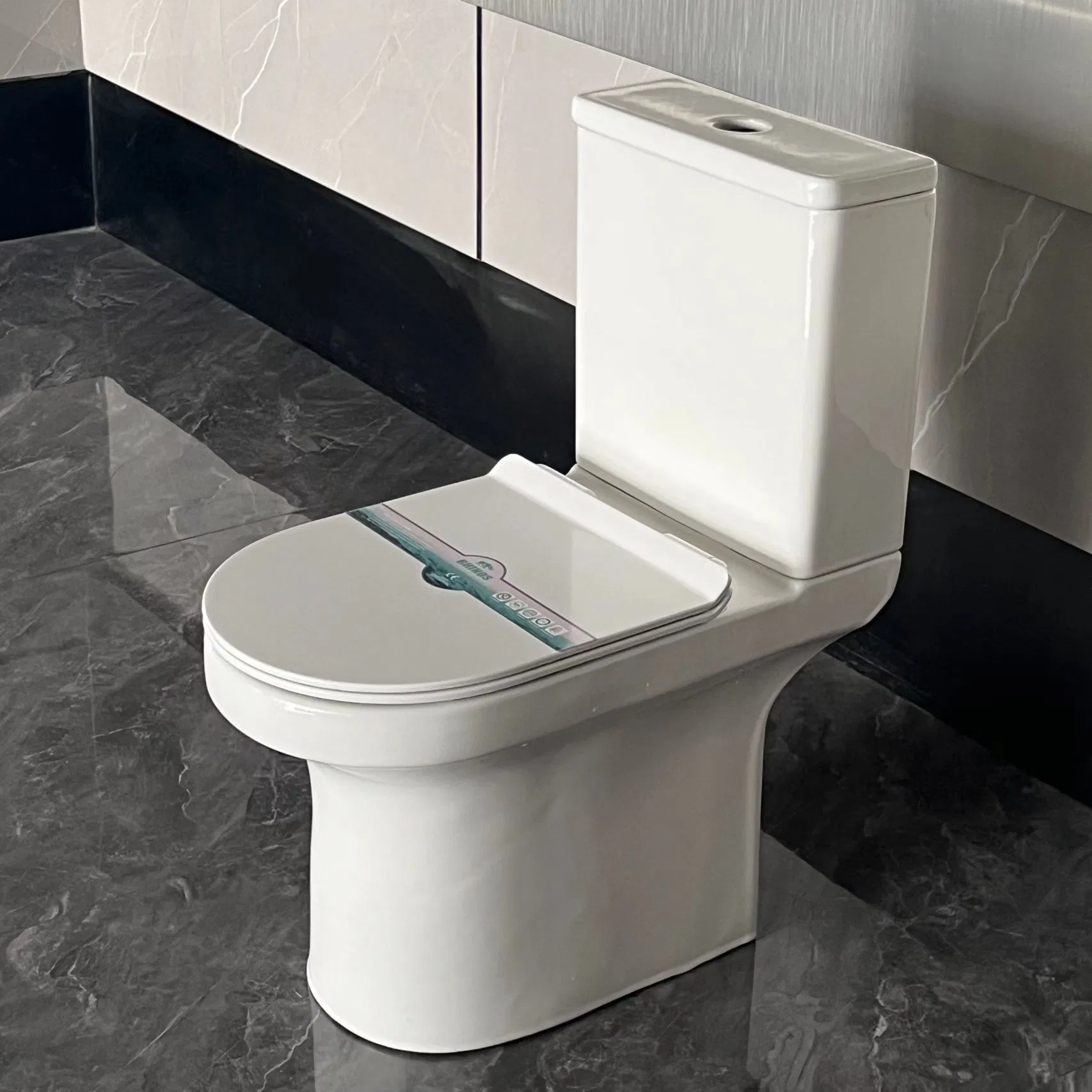 New Arrival Ceramic Two Piece Couple Washdown Toilet for European Market