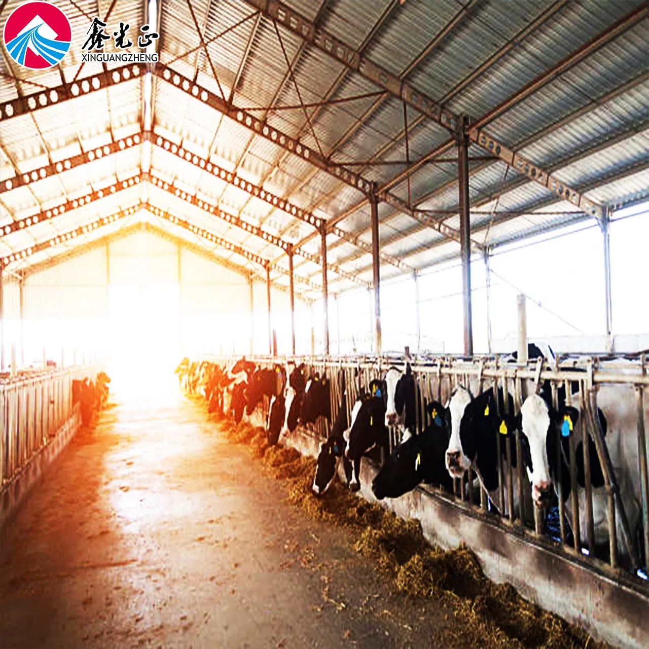 Prefabricated Steel Structure Construction Building Horse Barn