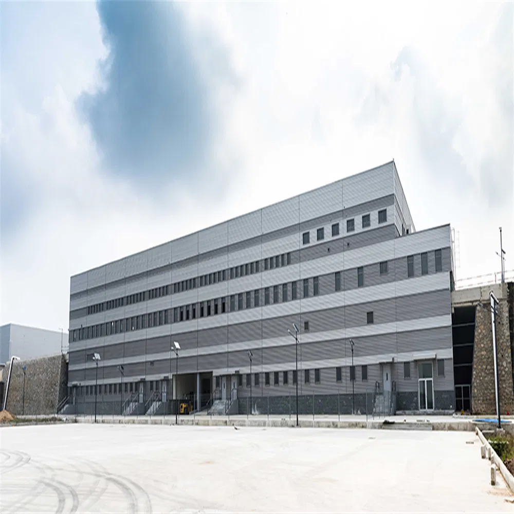 Economical Custom Design Attractive Price New Type Steel Structure Mall