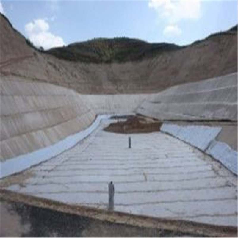 Composite Geotextiles China Building Material Drainage Mat HDPE Geonet with High Quality