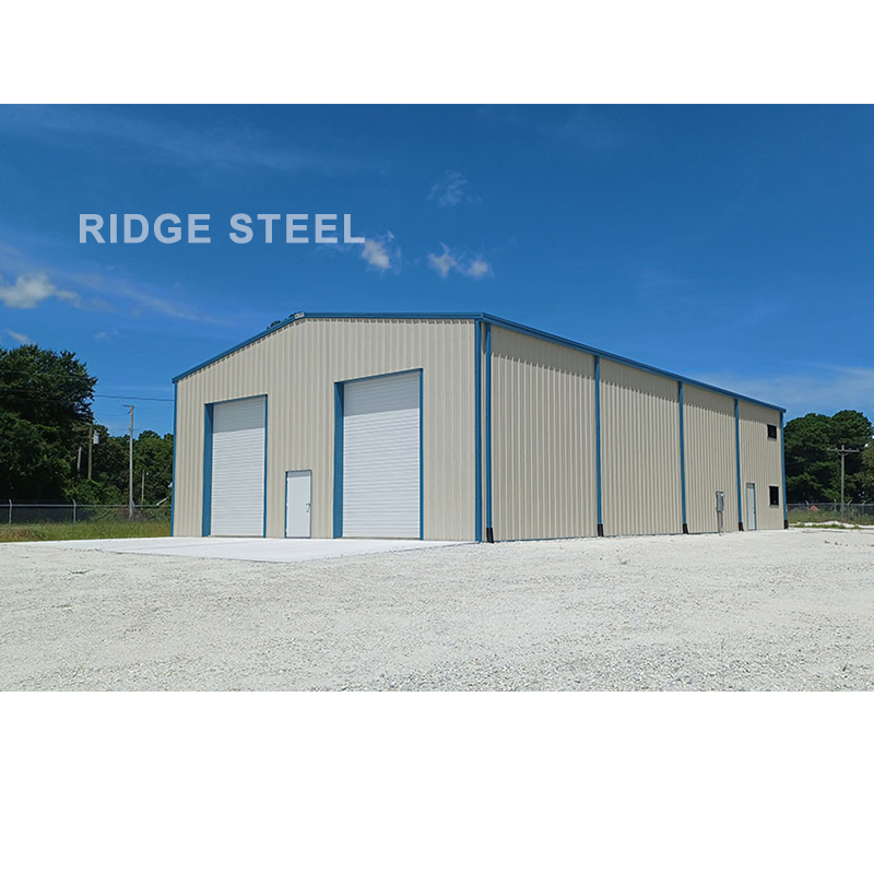 High Quality Steel Structure Prefab Building/Factory/Warehouse/Workshop/Godown/Shed