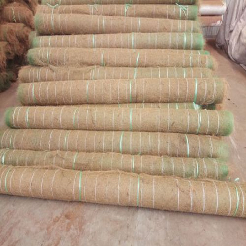 Ecological Coconut Fiber Mat for Greening Reinforcing Slopes Along Highways Riverbanks