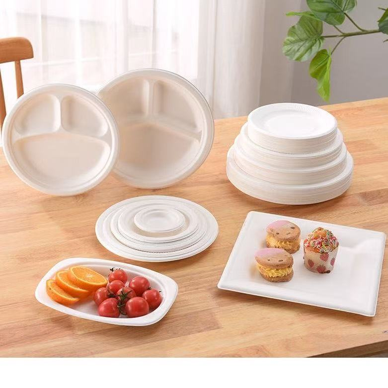 100% Compostable Disposable Paper Plates, 125 Pack, Pfas Free, Bpi Certified, 9 Inch Heavy Duty, Eco Friendly Biodegradable PLA Dishes Plates