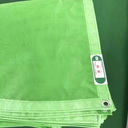 250d/24*24 Blue Color 130g/Sqm Fire Resistant Scaffolding PVC Mesh Sheet